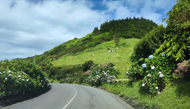 Conducir en Azores consejos